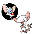 Pinky and the Brain