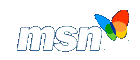 go to msn