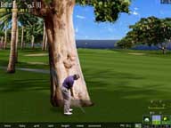 GOLF Image