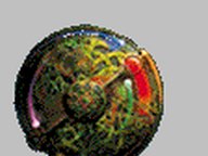 HEXP Image