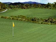 GOLF Image