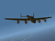 Flying Tiger